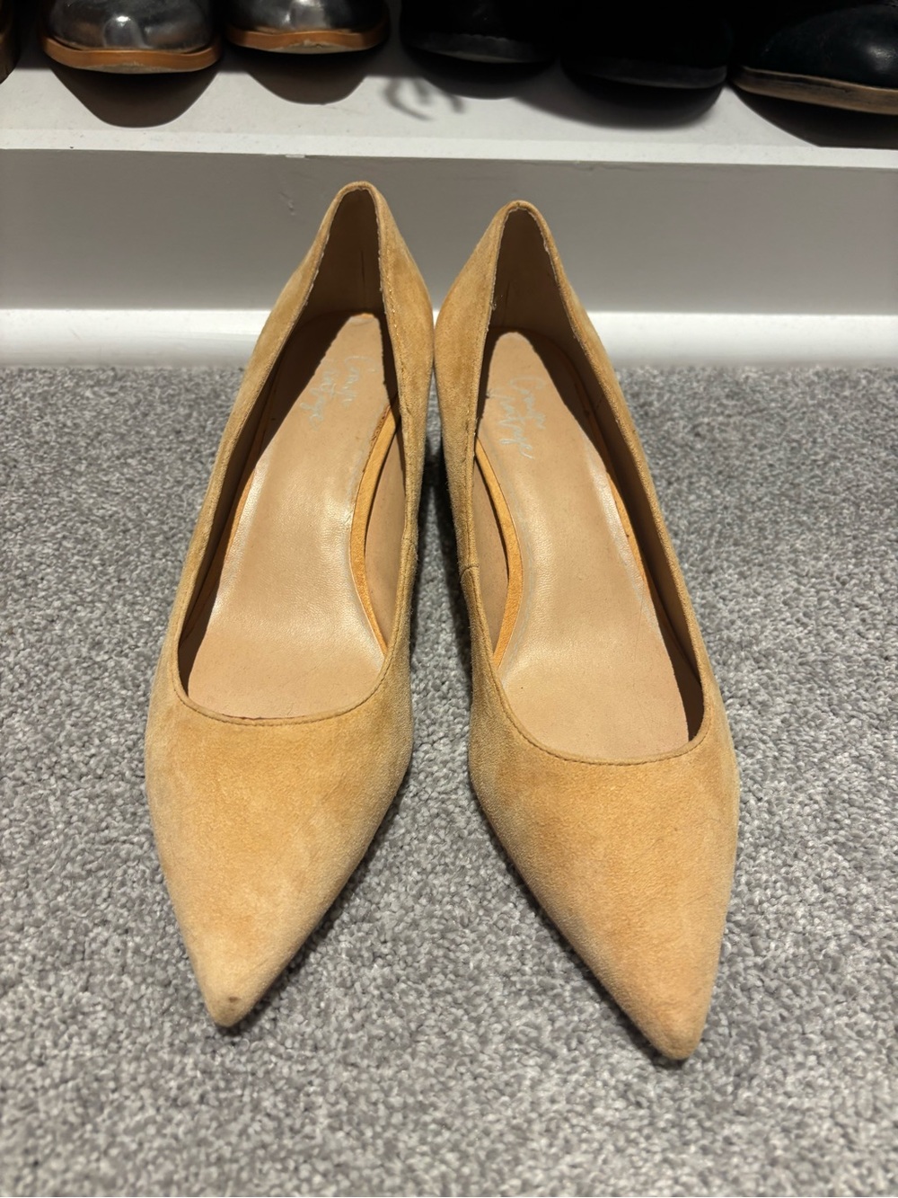 Classic Pointed-Toe Suede Pumps